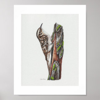 Impression d'art Creeper Brown