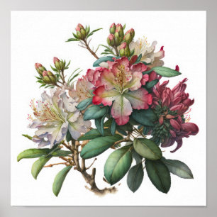 Impression d'art de fleurs de rhododendron rose