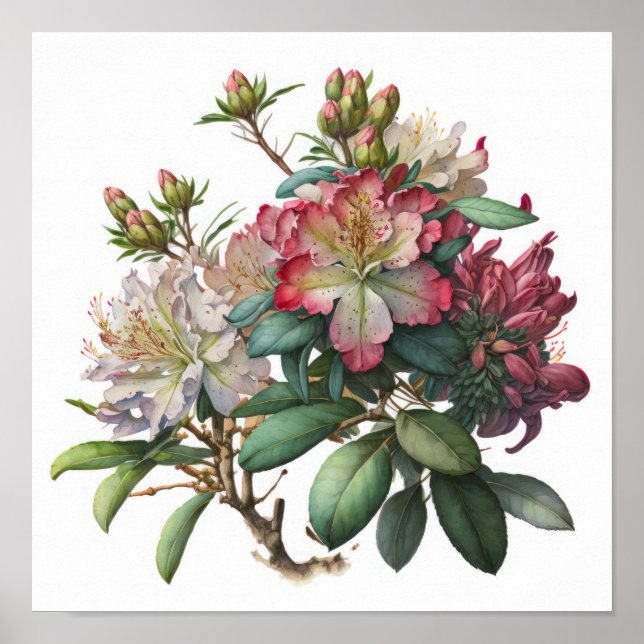 Impression d'art de fleurs de rhododendron rose (Devant)