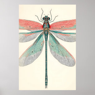 Impression d'art de libellule antique botanique na