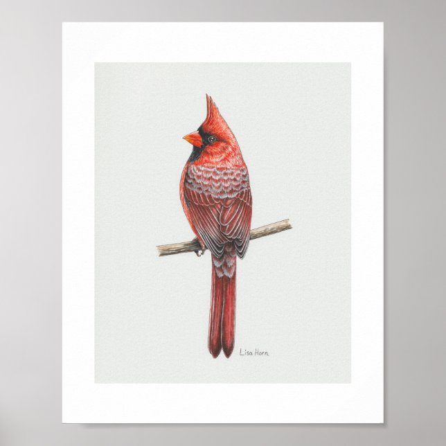 Impression d'art du Cardinal rouge (Devant)