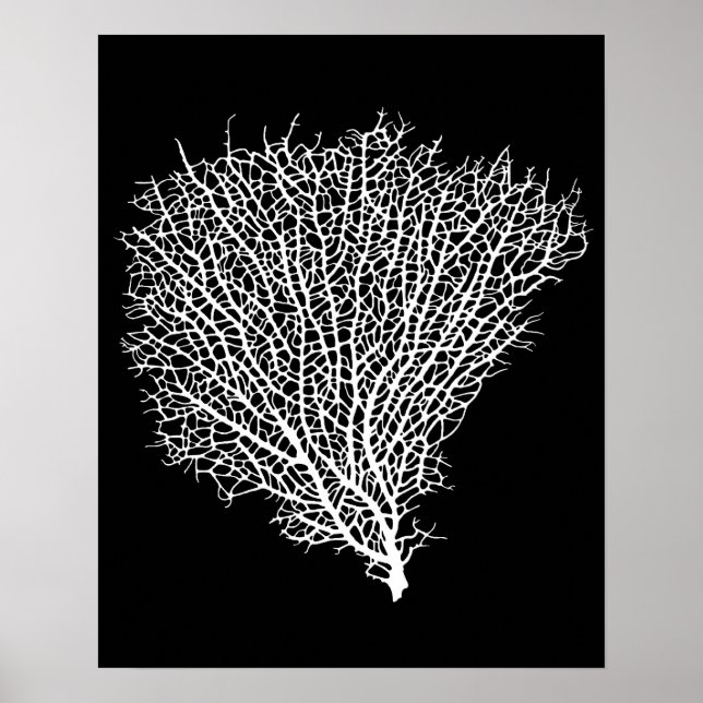 impression d'art d'un ventilateur de corail blanc (Devant)