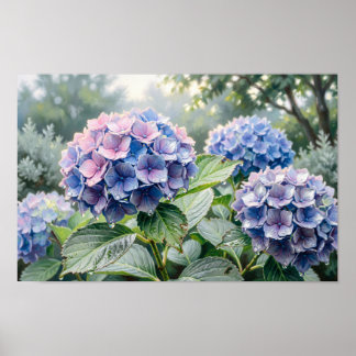 Impression d'art fine de Hortensias Bleus et Viole