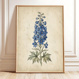 Impression d'art mural antique Delphinium Floral