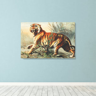 Impression d'art naturaliste vintage du tigre roya