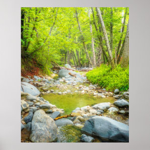 Impression d'art photo de paysage naturel de Fores