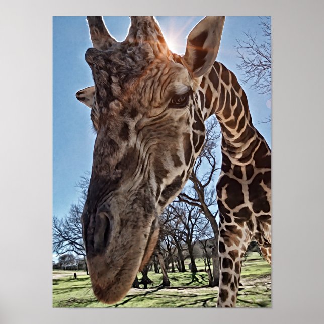 Impression d'art photographique Curious Giraffe (Devant)