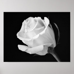 Impression d'art photographique en noir et blanc R