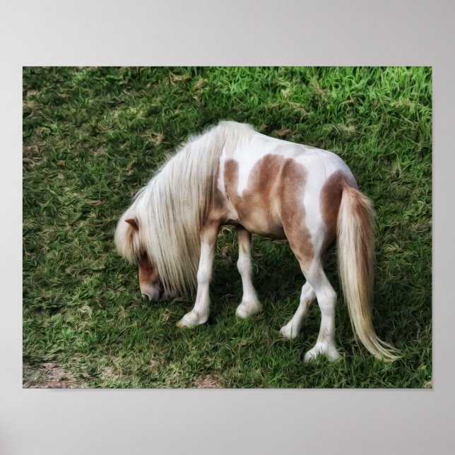 Impression d'art photographique Pretty Pony de rêv (Devant)