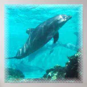 Impression dauphin de natation