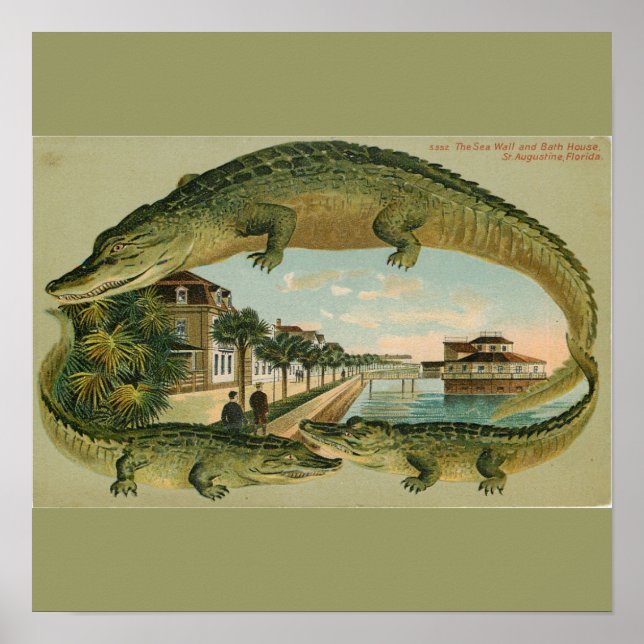 Impression de 1905 St. Augustine Florida (Devant)
