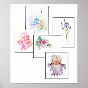 Impression de bouquet mixte