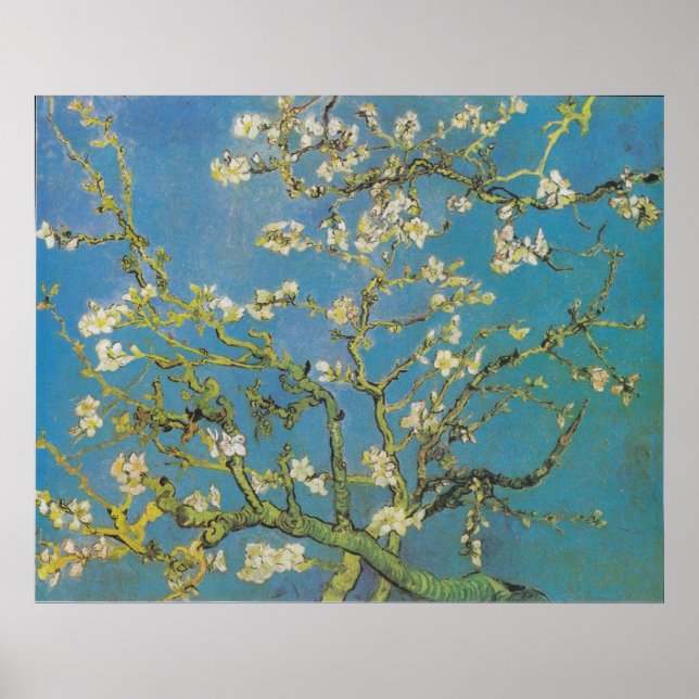 Impression de branches d'amandier de Van Gogh (Devant)
