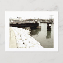 Impression de carte postale de loup abordable