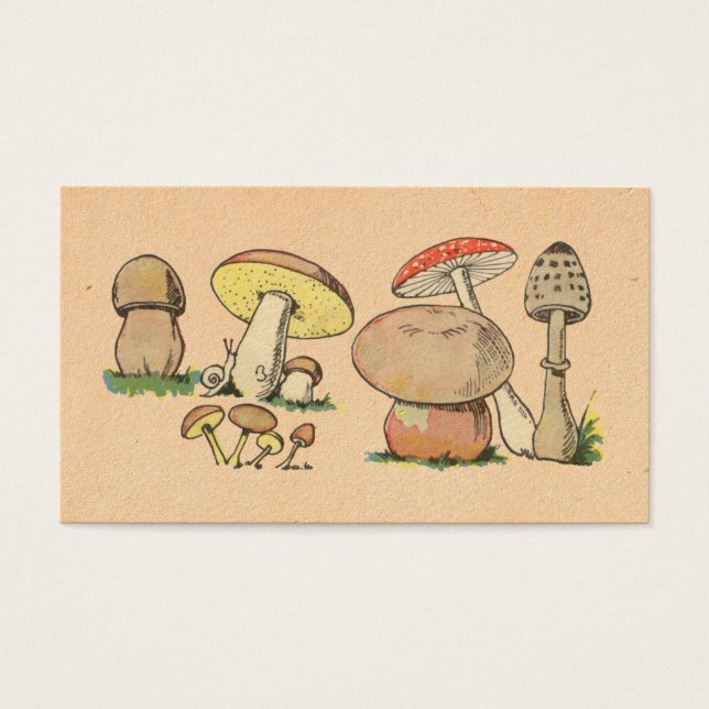 Impression de champignons vintages (Devant)