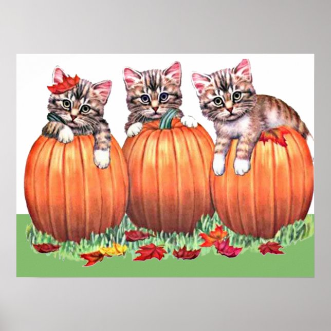 Impression de chatons sur citrouilles (Devant)