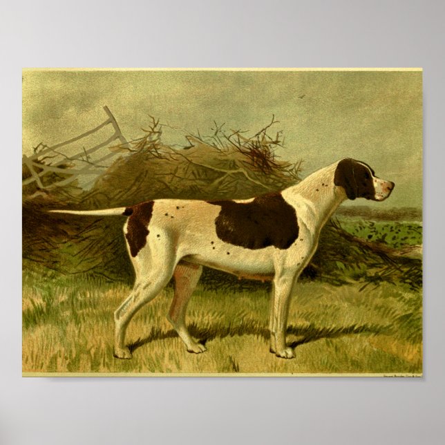Impression de chien pointeur Vintage 1881 (Devant)