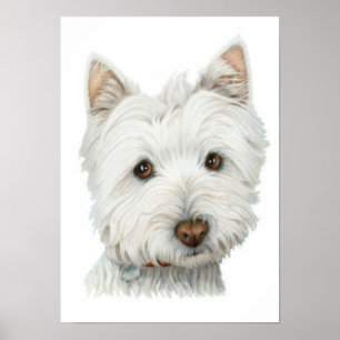 Impression de chien Westie mignon