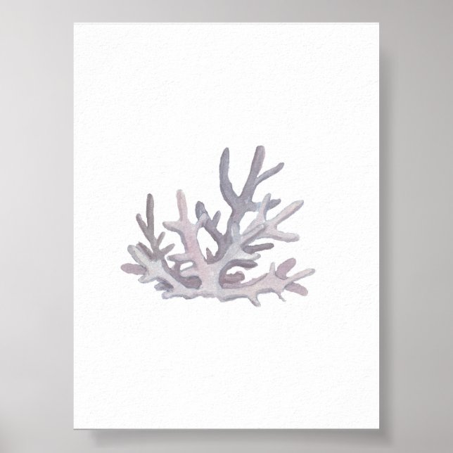 Impression de coquillage aquarelle (Devant)