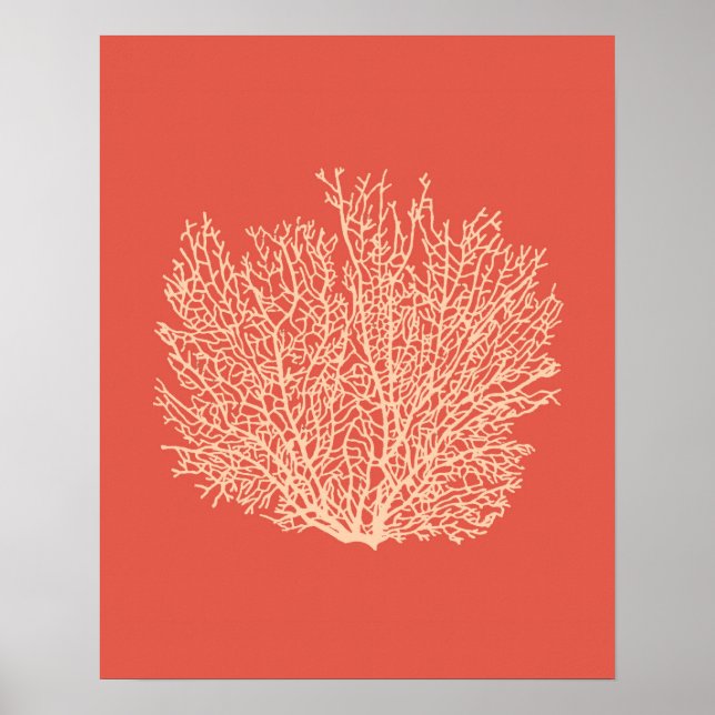 Impression de corail de ventilateur, pêche sur cor (Devant)