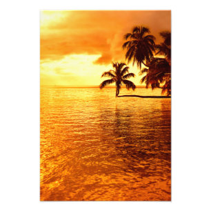 Impression de coucher de soleil de palmier horizon