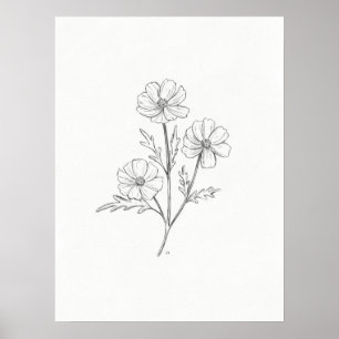 Impression de dessin au crayon Cosmo