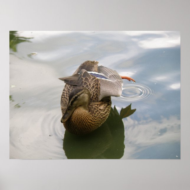 Impression de Duck Lake (Devant)