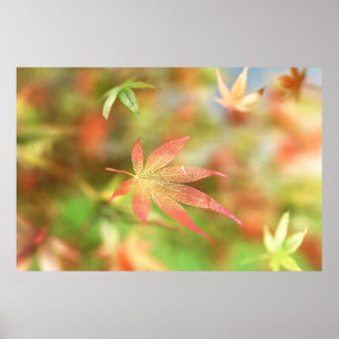 Impression de filigrane d'automne