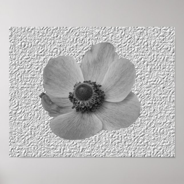 Impression de fleur d'anémone vintage (Devant)