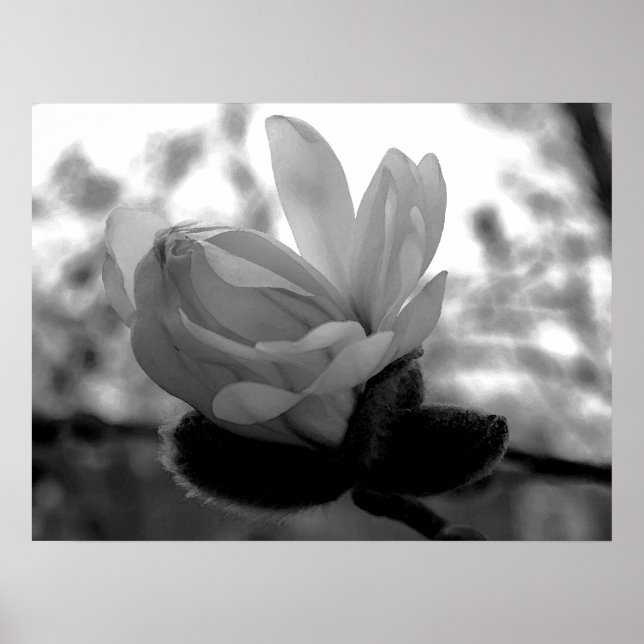 Impression de fleurs de printemps (Devant)