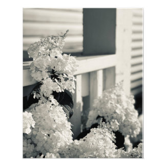 Impression de fleurs noir et blanc