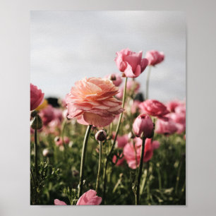 Impression de fleurs, papier d'affiche de valeur (