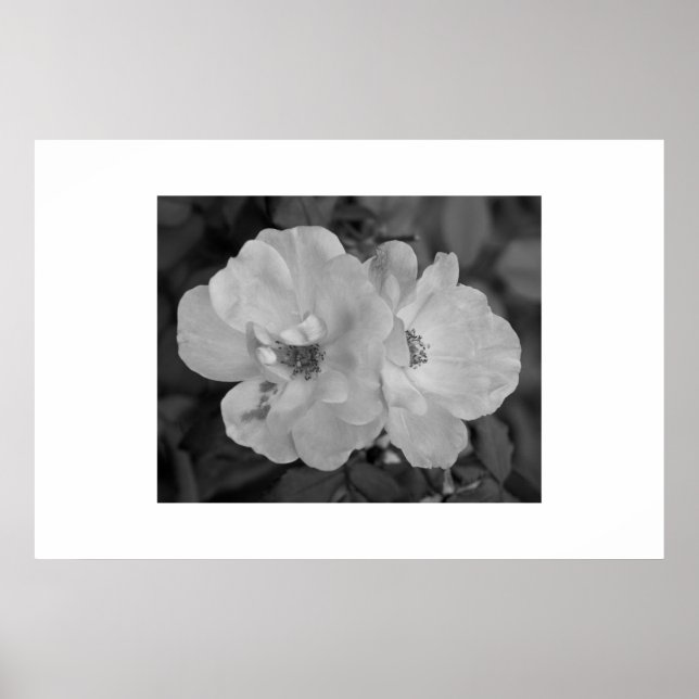 Impression de flux (Devant)