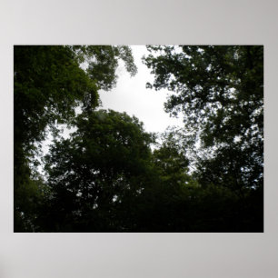 Impression de forêt déplaisante