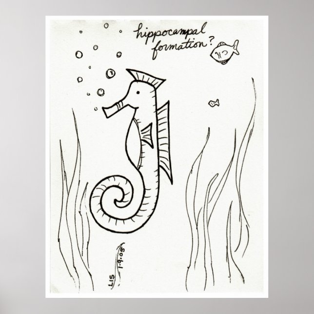 Impression de formation Hippocampal (Devant)
