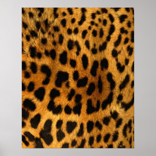 Impression de fourrure Leopard