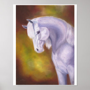 Impression de jument gris arabe 11"x14"