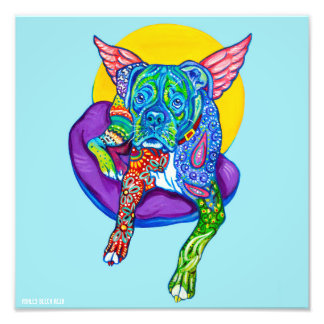 Impression de la boîte Alebrijes 12x12"