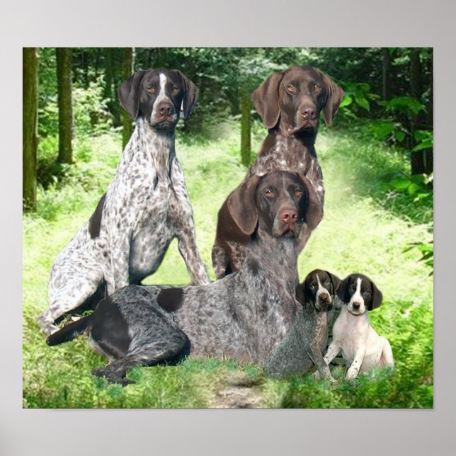 Impression de la famille de pointeurs germanophone (Devant)