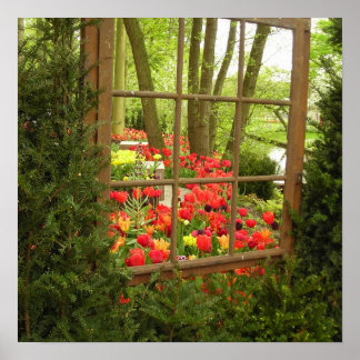 Impression de la fenêtre Tulip