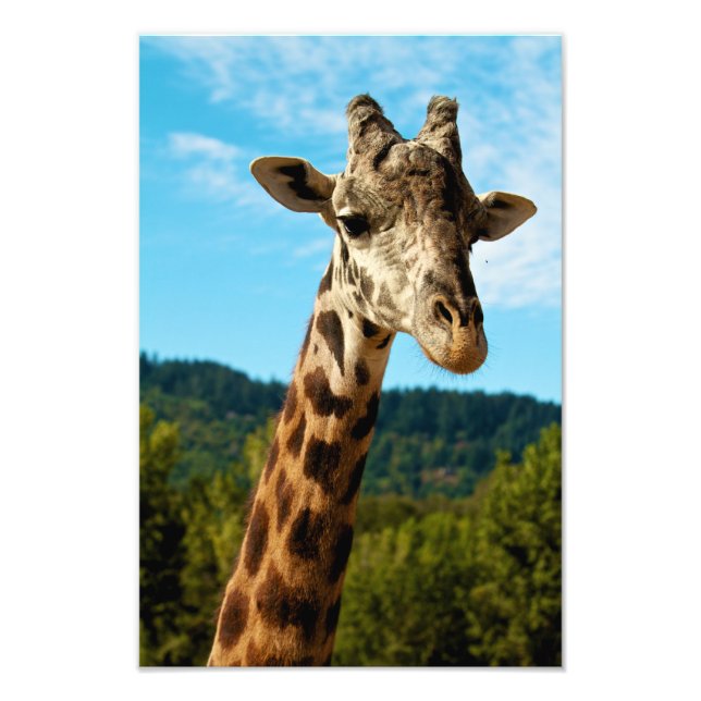 Impression de la girafe (Devant)