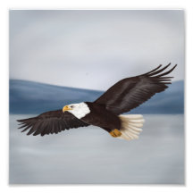 Impression de la peinture d'aigle à chaudes