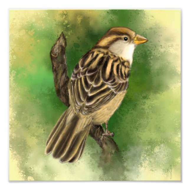 Impression de la photo Little Sparrow (Devant)