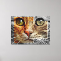 Impression de la toile Collage face chat