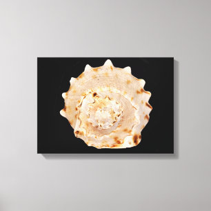 Impression de la toile de coque de conique