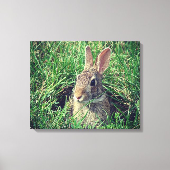 Impression de la toile de lapin (Recto)
