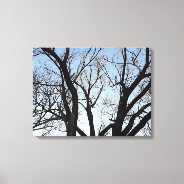 Impression de la toile d'étirement de l'arbre (Recto)