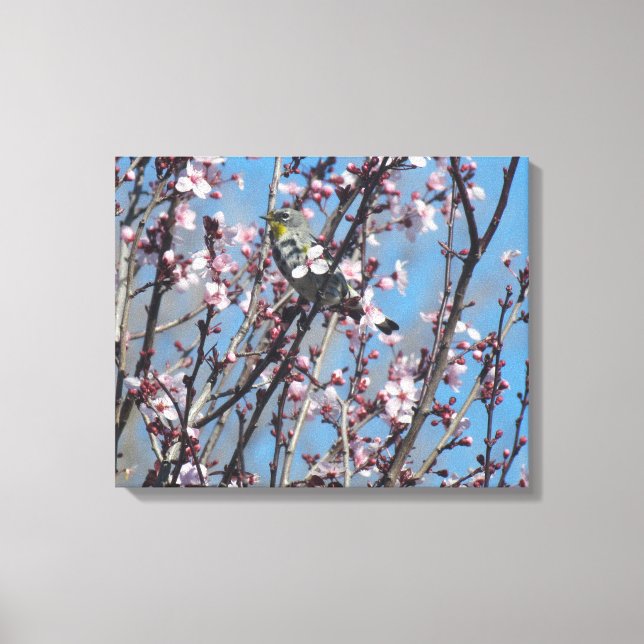 Impression de la toile - Épervier au printemps (Recto)