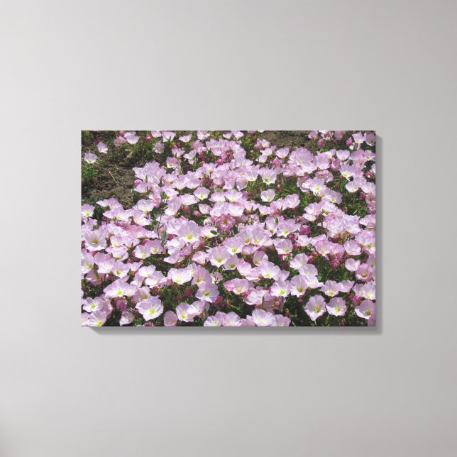Impression de la toile - Fleurs primées (Recto)