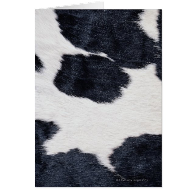Impression de la vache (Devant)